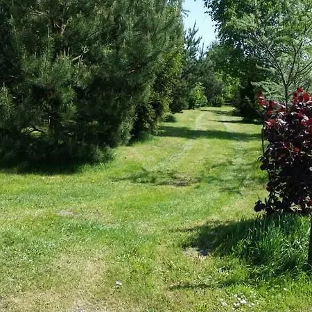 Ferienhaus Schick Ueckermünde